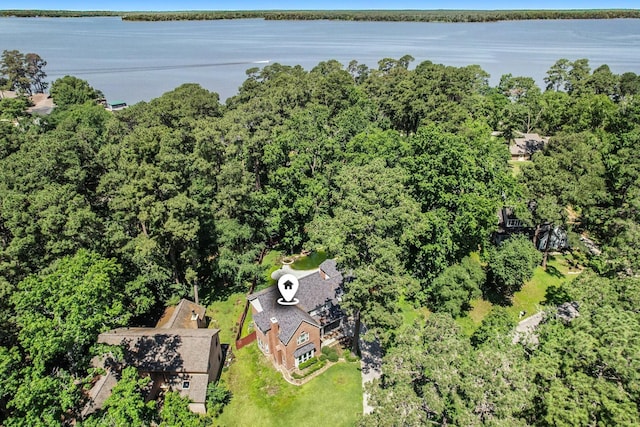 bird's eye view featuring a water view and a view of trees