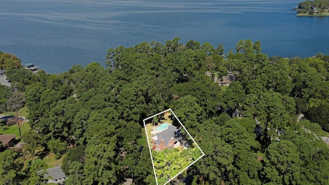 birds eye view of property with a water view and a wooded view