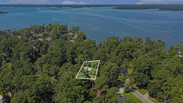 drone / aerial view with a water view and a view of trees