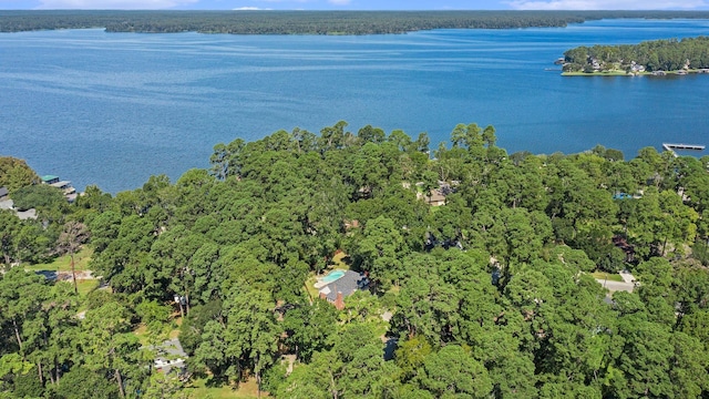 birds eye view of property with a water view and a view of trees