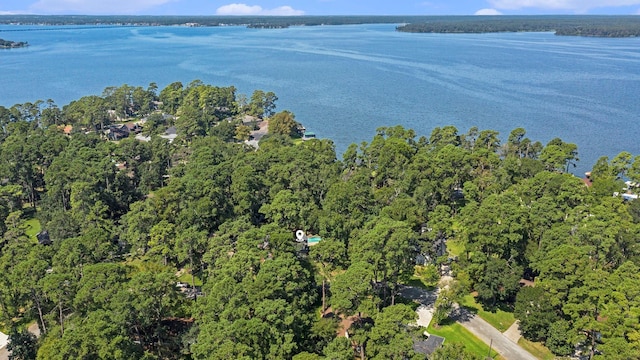 aerial view with a water view and a forest view