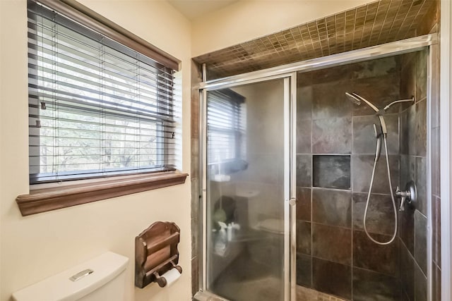 bathroom with a stall shower and toilet