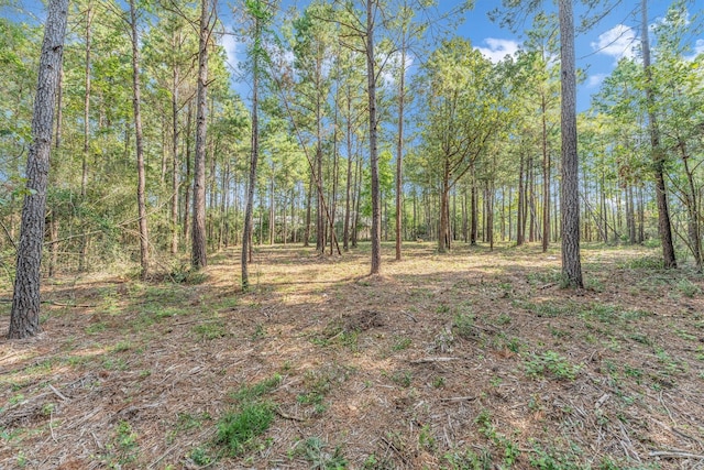 8304 Leafbrook Ct, Montgomery TX, 77316 land for sale