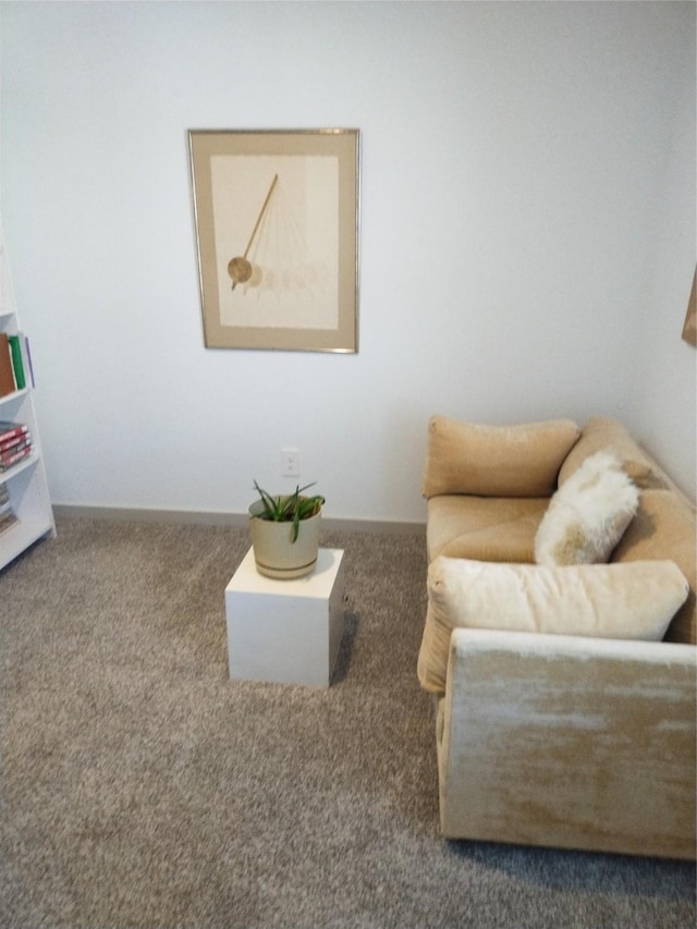 living area with carpet