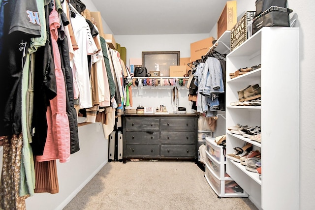 spacious closet with carpet floors