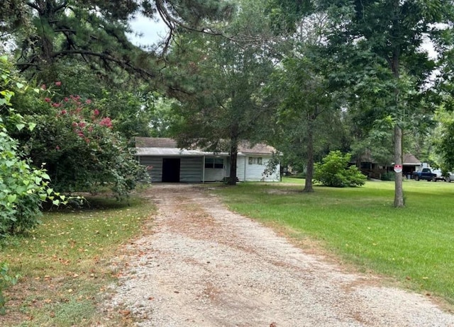 ranch-style home featuring dirt driveway and a front lawn