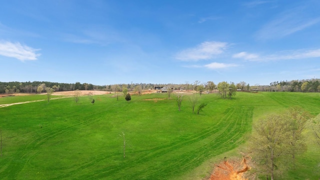 view of yard with a rural view