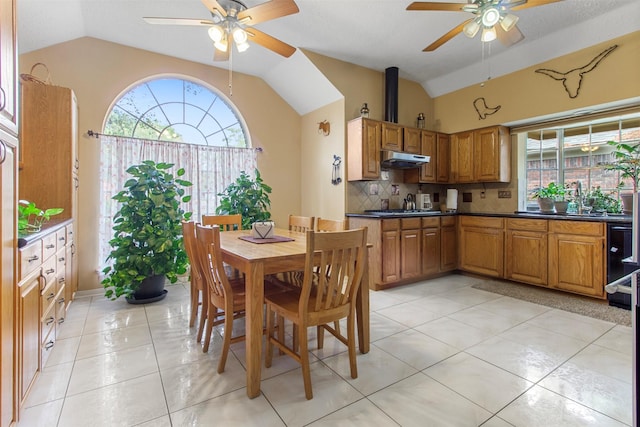 kitchen with a healthy amount of sunlight, decorative backsplash, and lofted ceiling