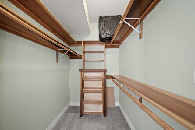 walk in closet with light colored carpet