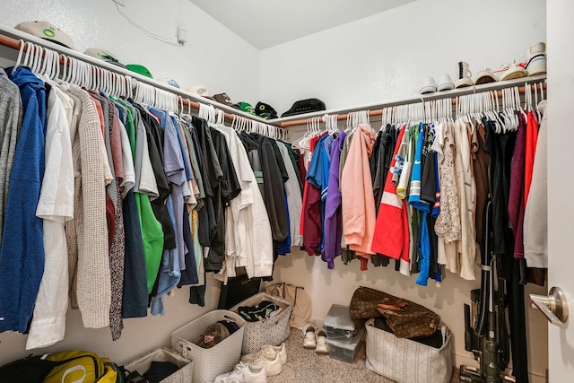 walk in closet with carpet floors