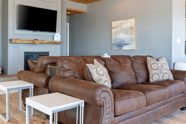 living room with wood finished floors and a glass covered fireplace