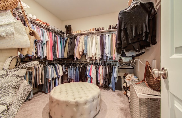 walk in closet featuring carpet floors