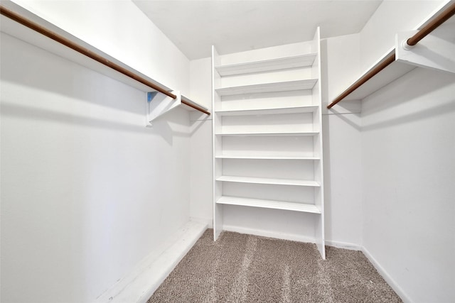 spacious closet with carpet floors