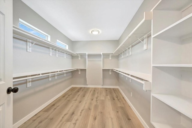 spacious closet featuring light wood finished floors