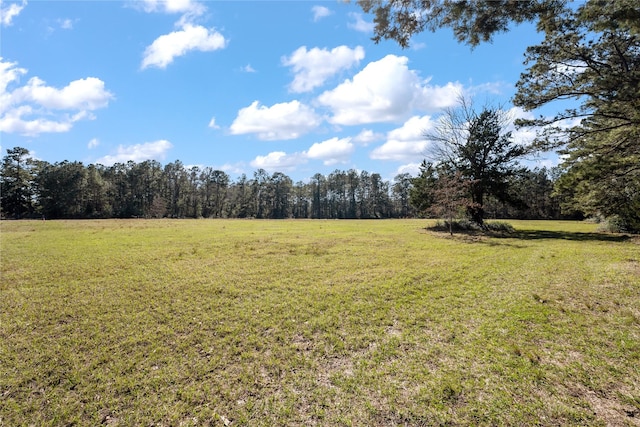 Listing photo 3 for TBD County Road 2254, Cleveland TX 77327