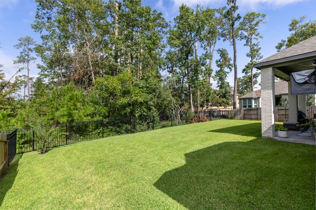 view of yard with a patio area and a fenced backyard