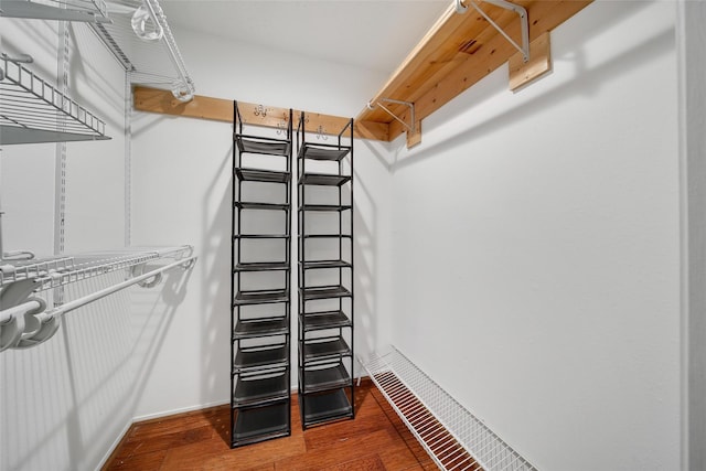 spacious closet featuring wood finished floors