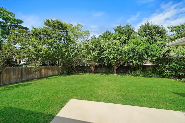 view of yard with a fenced backyard