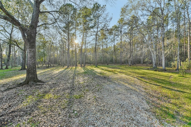 view of street featuring a wooded view