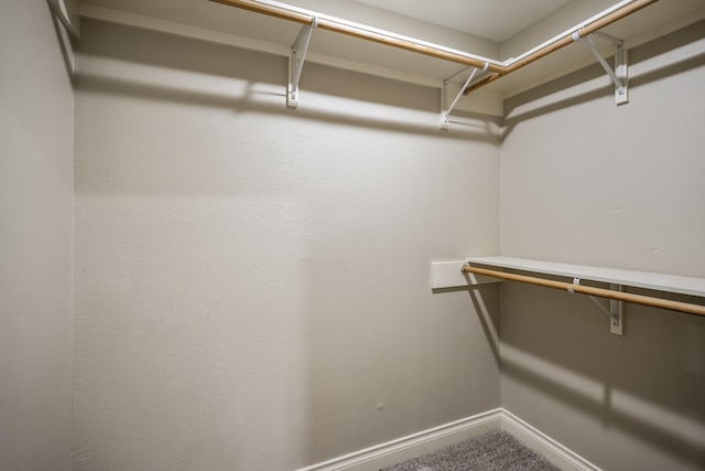 walk in closet featuring carpet floors