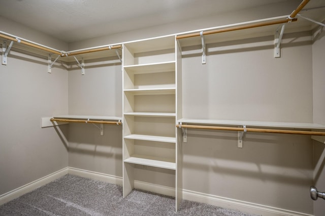 walk in closet featuring carpet floors