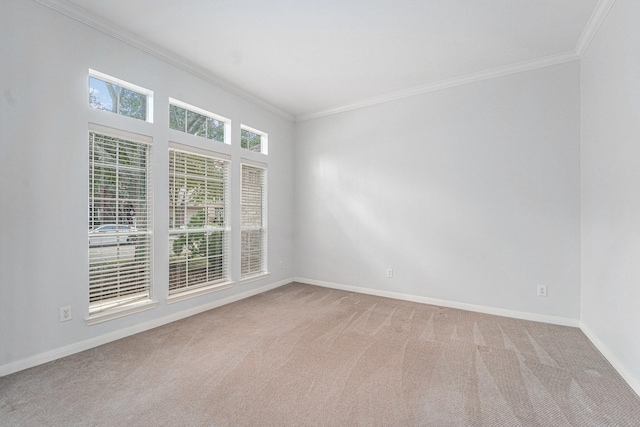 carpeted spare room with crown molding and baseboards