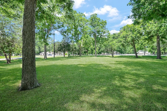 view of home's community with a yard