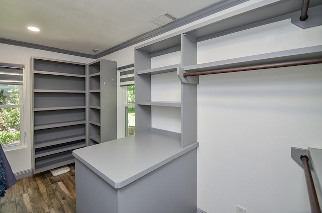 spacious closet featuring dark wood-type flooring and visible vents