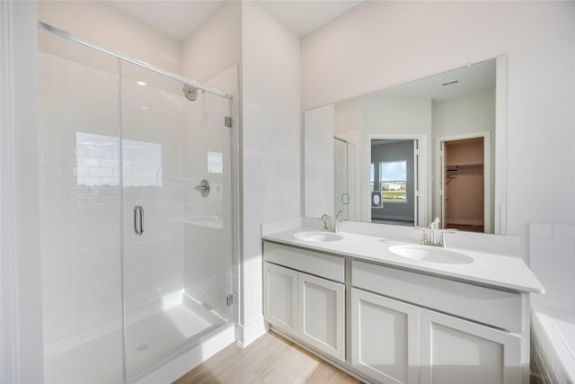 bathroom featuring a stall shower, a spacious closet, and a sink