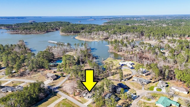 bird's eye view featuring a water view and a wooded view