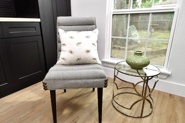 living area featuring wood finished floors
