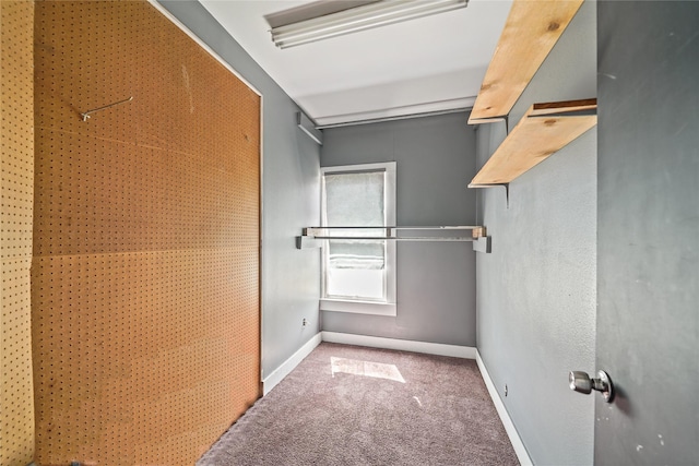 walk in closet featuring carpet flooring