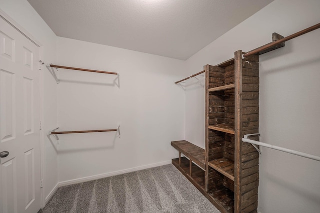 walk in closet featuring carpet flooring