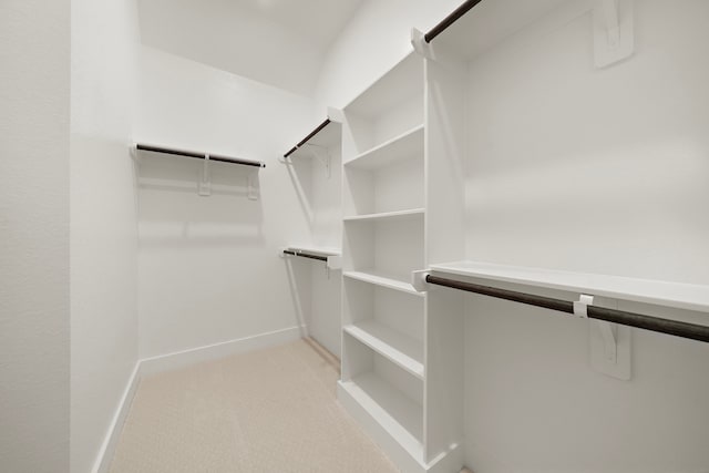 9975 Monarch Landing Cv, Willis, TX 77318 - walk in closet with light carpet