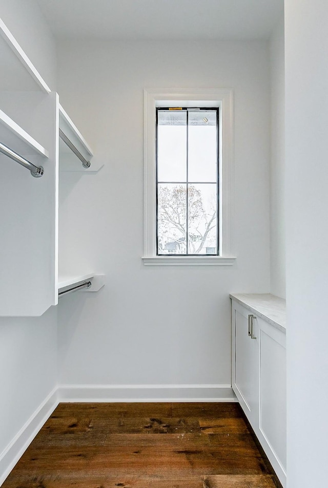 spacious closet with dark wood-type flooring