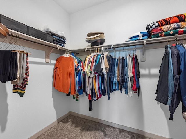 walk in closet with carpet