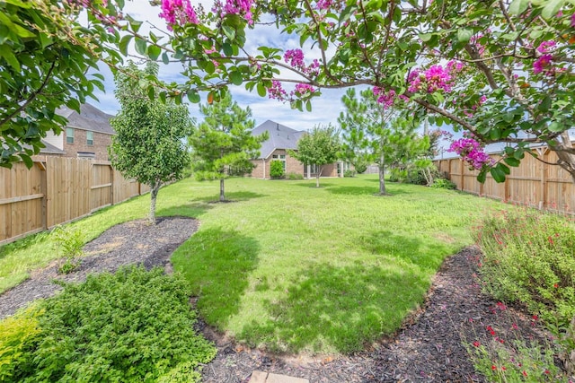 4903 Cancun Hills Ct, Fulshear, TX 77441 - view of fenced backyard