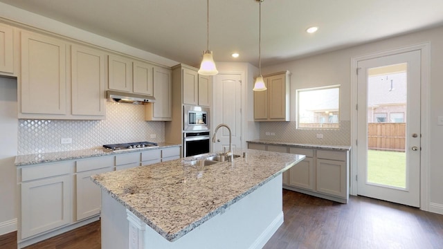 kitchen with appliances with stainless steel finishes, dark wood finished floors, a sink, and under cabinet range hood