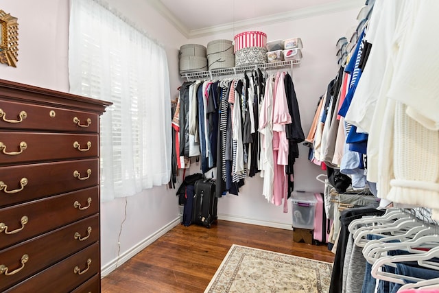 spacious closet featuring dark wood-style flooring