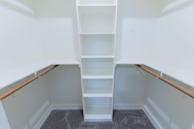 spacious closet with carpet flooring