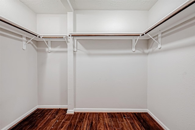 spacious closet featuring wood finished floors