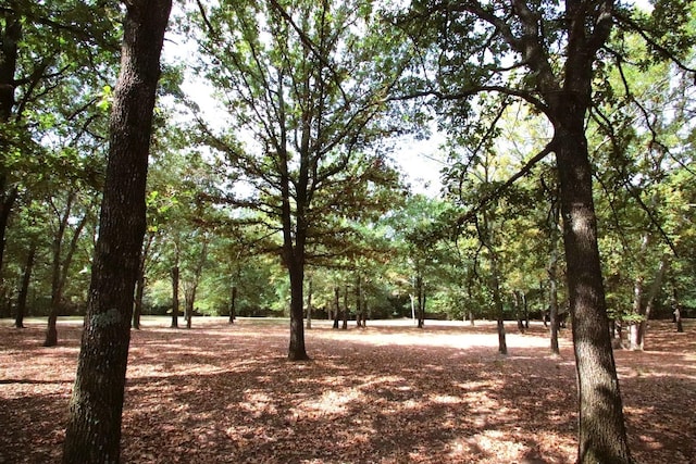 view of landscape