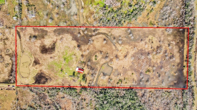 17595 Brumbelow Rd, Needville, TX 77461