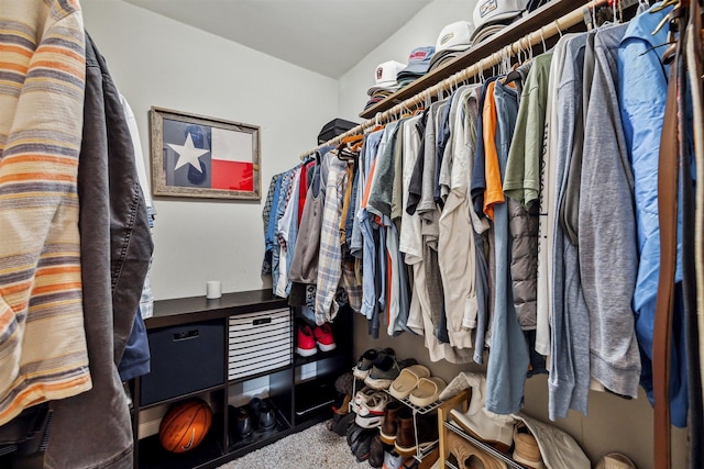 view of spacious closet