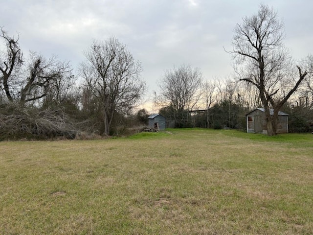 view of yard featuring a storage unit and an outdoor structure