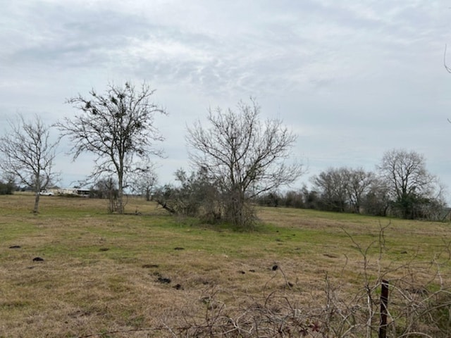 view of local wilderness with a rural view