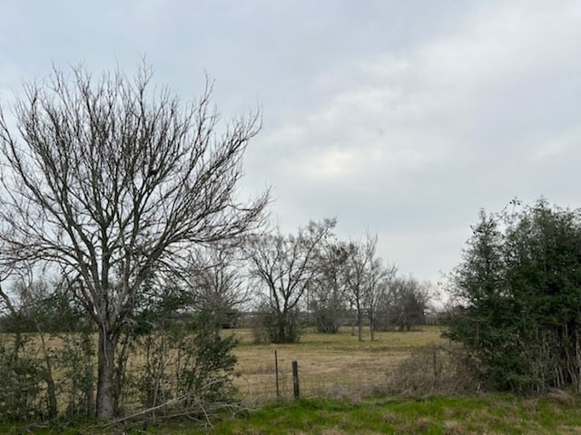 view of yard with a rural view