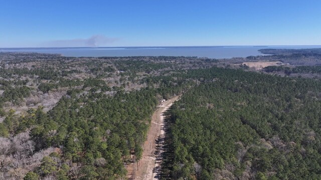 TBD US-190, Point Blank, TX 77364