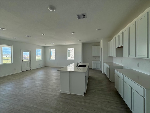 3019 Ruby Ridge Dr, Katy, TX 77493 - kitchen featuring a sink, a center island with sink, dark wood-style floors, baseboards, and open floor plan