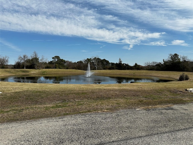 Listing photo 2 for 19150 Grandview Pt, Montgomery TX 77356